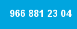 966 881 23 04 966 881 23 04